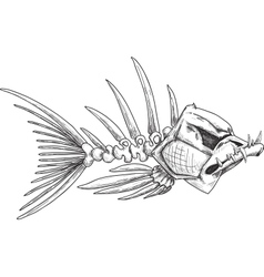 Sketch of evil skeleton fish with sharp teeth vector image