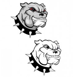 Bulldog mascot vector image
