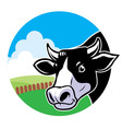 Cow head with grassland background vector image