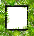 Beautiful border with tropical palm leaves vector image