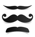 Mustaches vector image