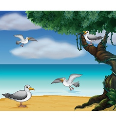 Cartoon Seagull vector image