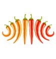 Hot red and yellow peppers vector image