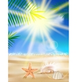 Day with sand shells and palm leaves vector image