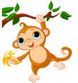 Baby monkey on a tree vector image