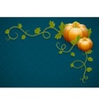 Pumpkin vegetable with green vector image