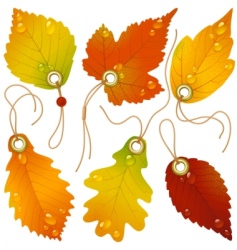 Autumnal discount vector image