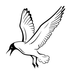 Simple seagul isolated on the white vector image