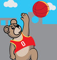 Basketball Bear vector image