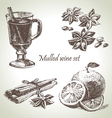 Set of mulled wine fruit and spices hand drawn il vector image
