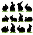 Rabbit02 vector image