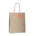 Winter sales shopping bag with snowflakes vector image