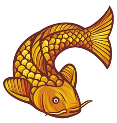 Koi fish vector image