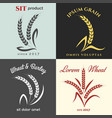 Ears of wheat logo set vector image