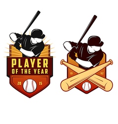 Set of vintage baseball labels and badges vector image