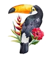 Watercolor toucan vector image