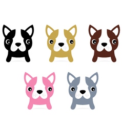 Little french buldog puppies set isolated on white vector image