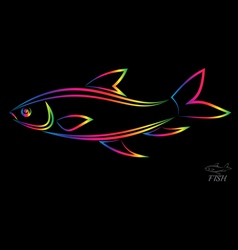 Fish Fish vector image