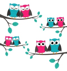 Owls couples set vector image