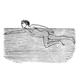 Swimming vintage engraved vector image