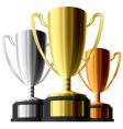 Three trophies vector image