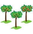 Summer trees vector image