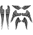 Angel wings vector image