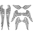 Angel wings vector image