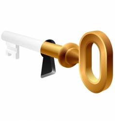 Key in keyhole vector image
