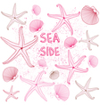 Seaside Seashells background vector image