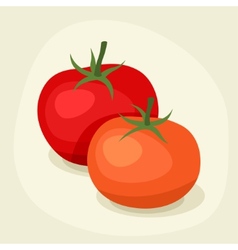 Stylized of fresh ripe tomatoes vector image