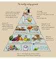 Healthy eating pyramid vector image