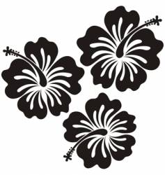 Honolulu flower vector image