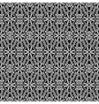 Lace pattern vector image