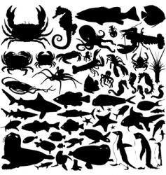 Sea animals vector image