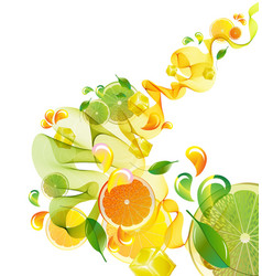 Citrus abstract splash vector image