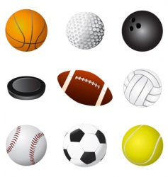 Sport balls detail vector image