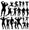 Gym fitness vector image
