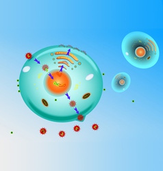 Influenza virus vector image