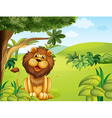 Cartoon Lion vector image