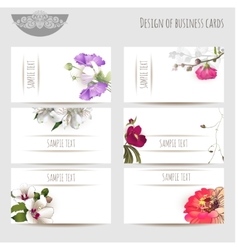 Business cards with floral elements Business cards with floral elements vector image