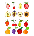 Set of fruits vector image