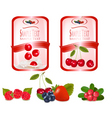 Labels with cherries vector image
