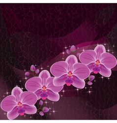 Invitation or greeting card dark red with orchid vector image