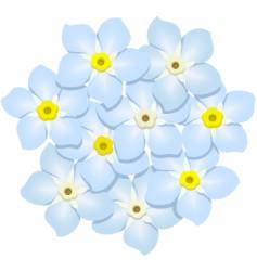 Forget me not flowers Royalty Free Vector Image