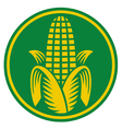 Corn symbol vector image