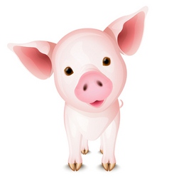 Little pig vector image