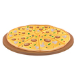 Pizza vector image