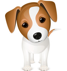 Cartoon dog vector image