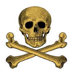 Skull and crossbones in engraved style vector image